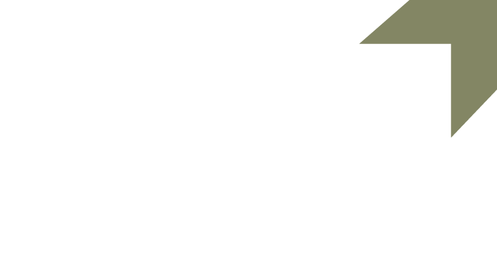 GHN Group logo inverted